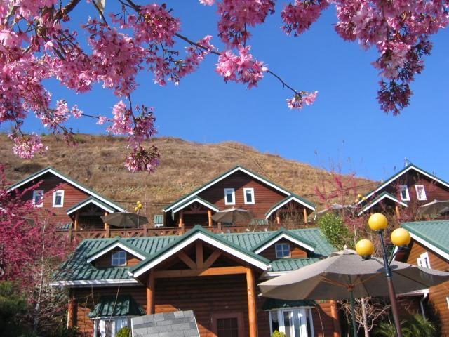 清境豐田桂林山莊民宿 Ren'ai Exterior foto